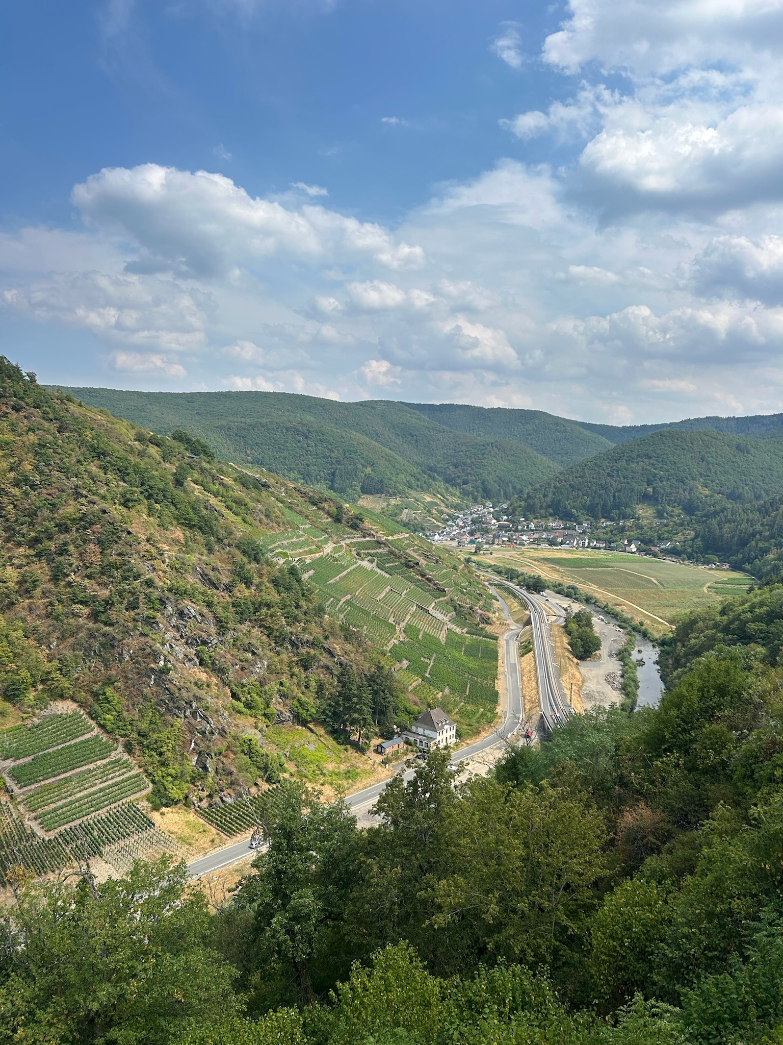 Panoramisch uitzicht over het Ahrdal met steile wijnterrassen